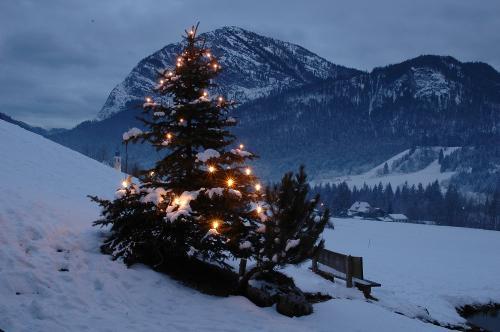 harbachhof_winter-0753