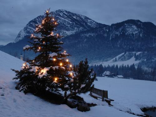 harbachhof_winter-0753