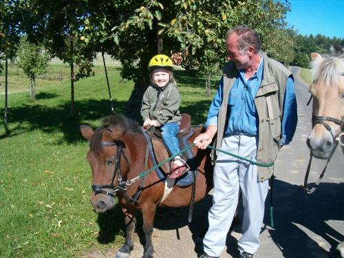 pony führen