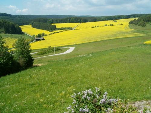 Aussicht Fewo 1
