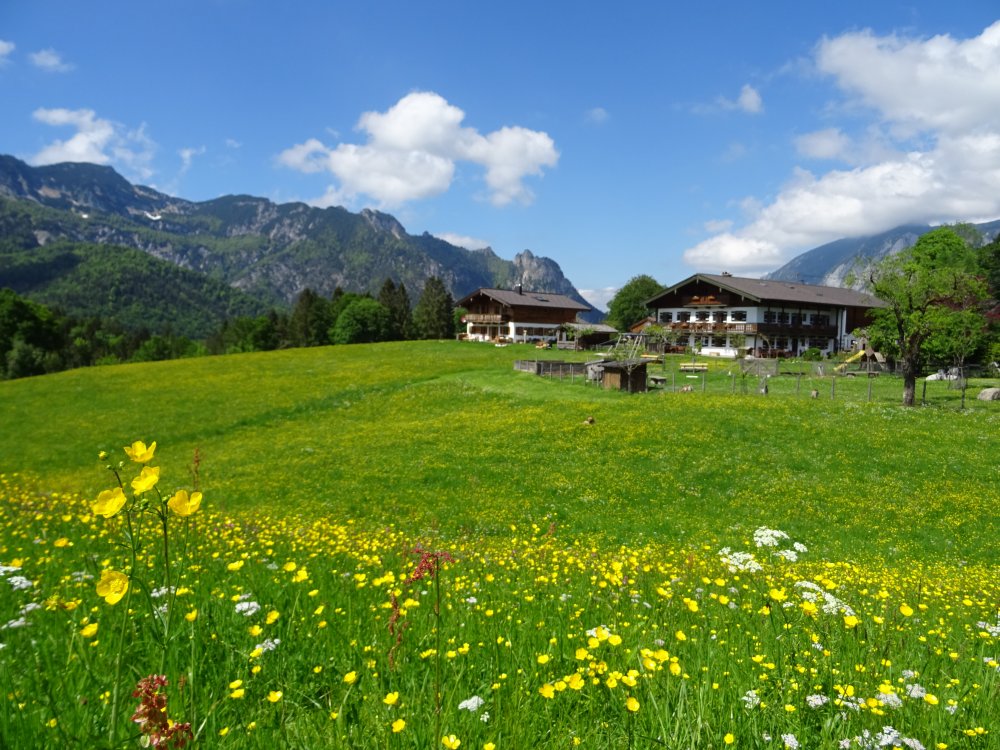 unser Bauernhof inmitten blühender Wiesen