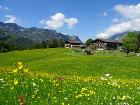 unser Bauernhof inmitten blühender Wiesen