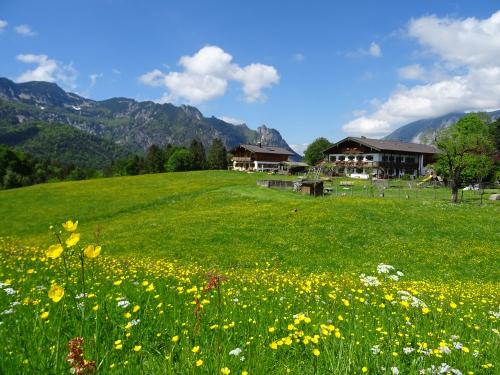 unser Bauernhof inmitten blühender Wiesen