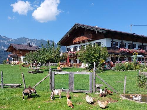 bauernhof-tiere