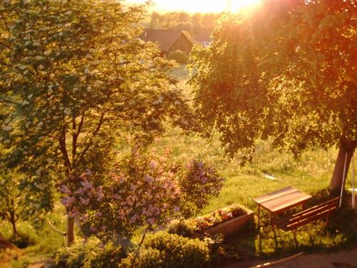 sonnenuntergang