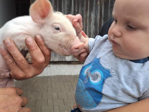 2 Babys verstehen sich gut!