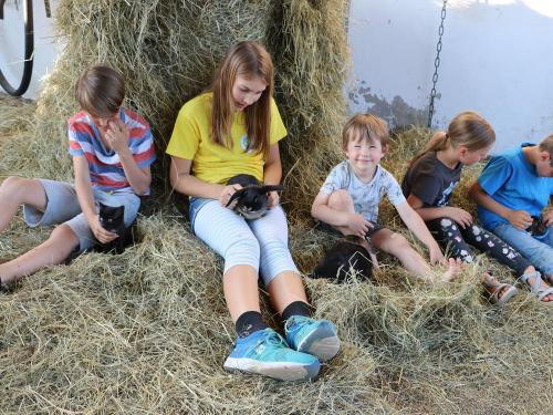 Hasen und Katzen-Kuschelstunde! Hasen und Katzen-Kuschelstunde!