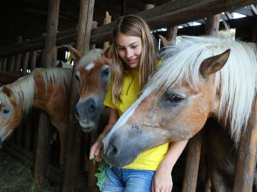 Fütterrunde bei unseren Pferden Fütterrunde bei unseren Pferden