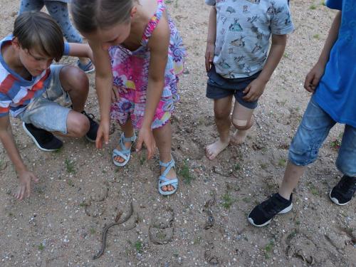 Natur entdecken - ganz neue Erfahrungen sammeln! Natur entdecken - ganz neue Erfahrungen sammeln!