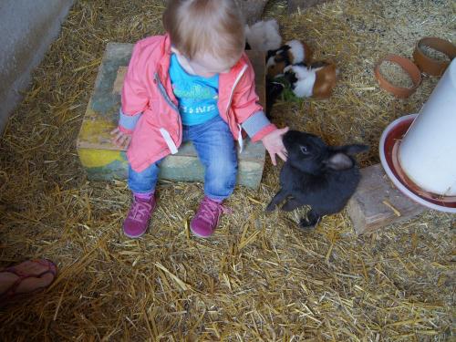 Erste Kennenlernversuche Erste Kennenlernversuche