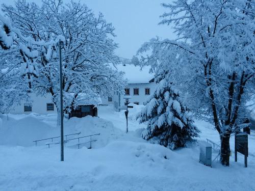 Blick aus Wohnung Bauerngarten