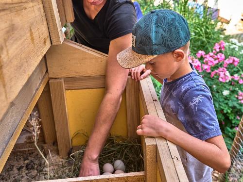 Sind schon Eier im Nest
