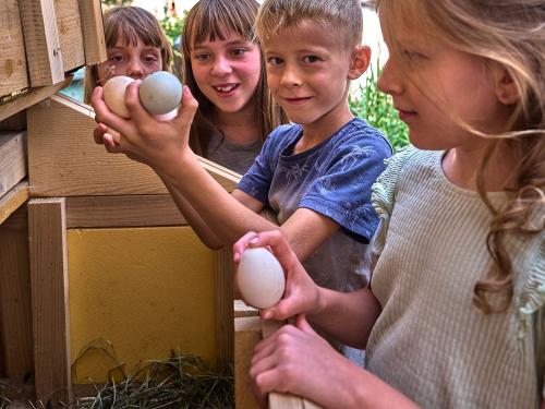 Frische Eier gefunden!