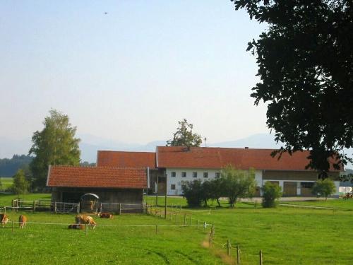 bertlhof5