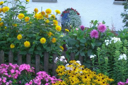 bertlhof20blumen
