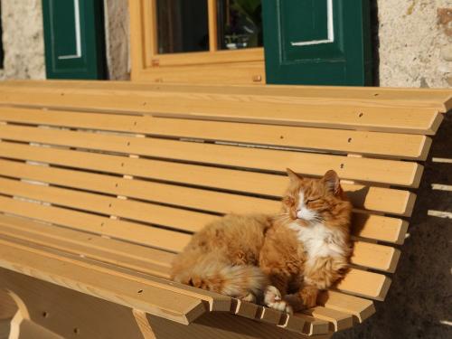 Hier lässt s sich s aushalten