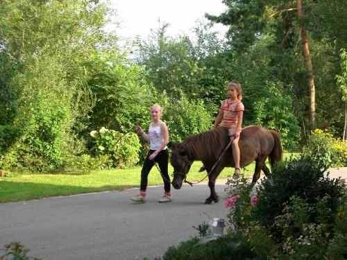 Ponyreiten