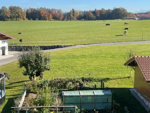 Blick vom Balkon