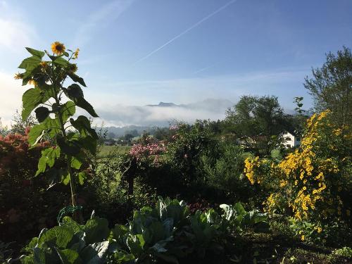 Bauerngarten