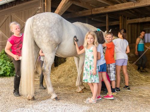 Pferde.... Pferde....