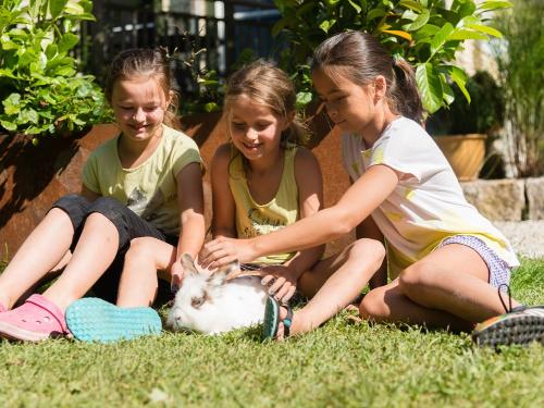 Kuscheln und Streicheln Kuscheln und Streicheln