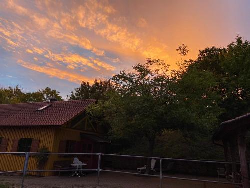 Ferienhaus aus Pferdesicht