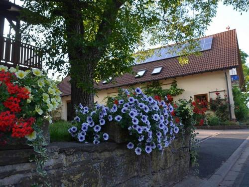 riedmann_auenansicht2