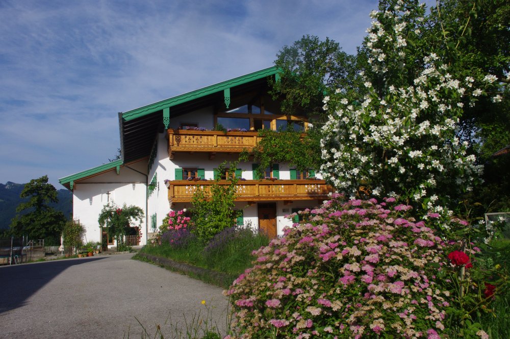 imgp1839