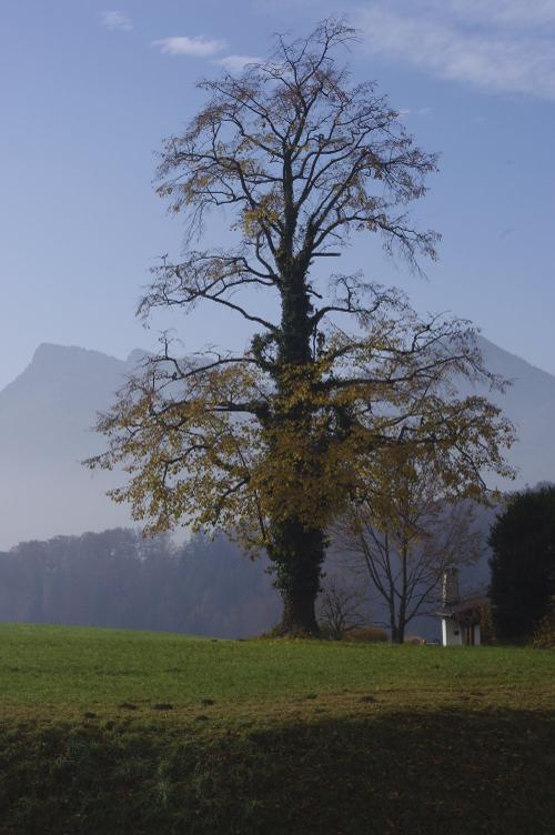 Herbststimmung am Marchlhof