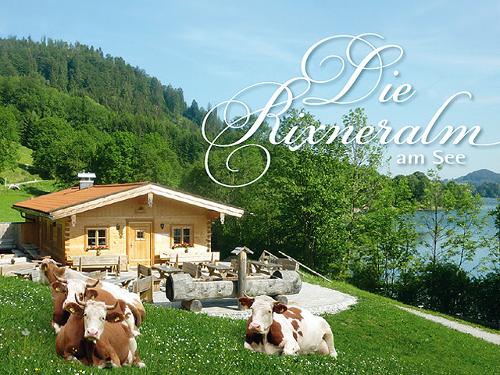 Rixneralm