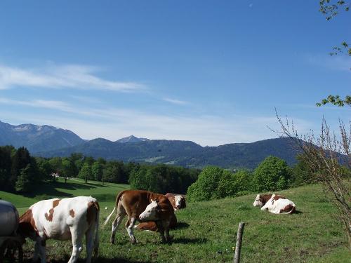 aussichtv.grnberg4