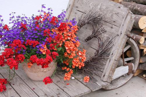 impressionen354243