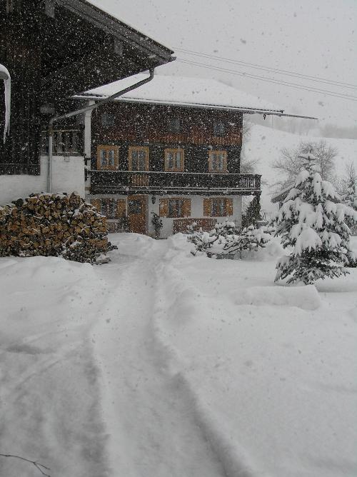 Winter am Hof