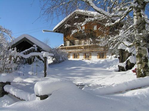 Winter am Hof