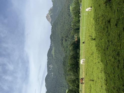 Pferdekoppel mit Wendelstein
