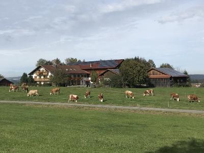 Aussicht zum Benihof