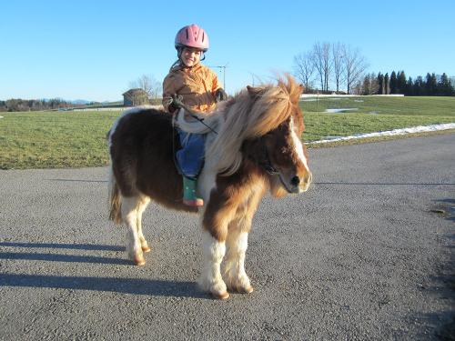 Ponyreiten mit Laura