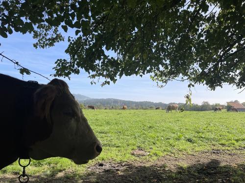 Aussicht Richtung Osten