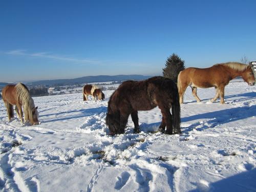 unser Winterparadies