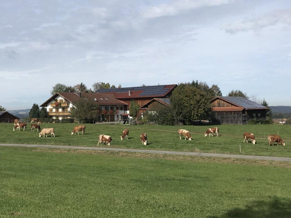 Aussicht zum Benihof Aussicht zum Benihof