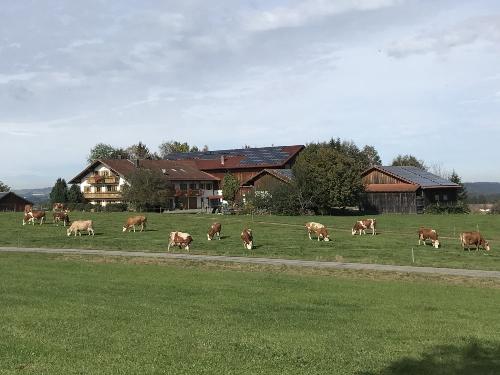 Aussicht zum Benihof Aussicht zum Benihof
