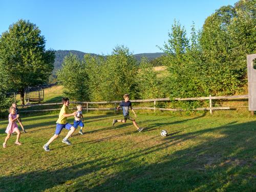 Fußball