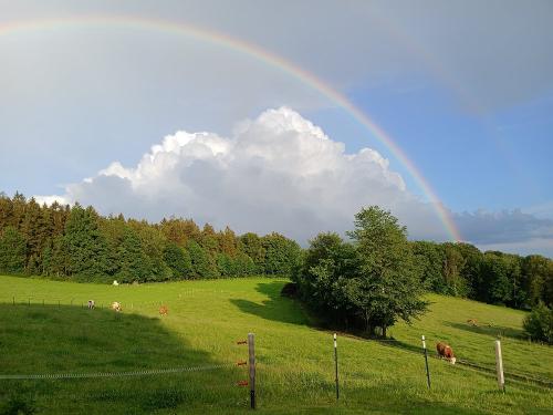 regenbogen