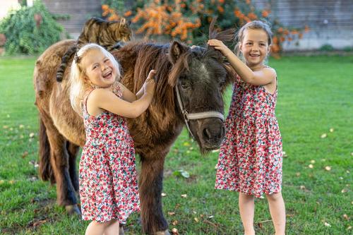 Pony Jessy