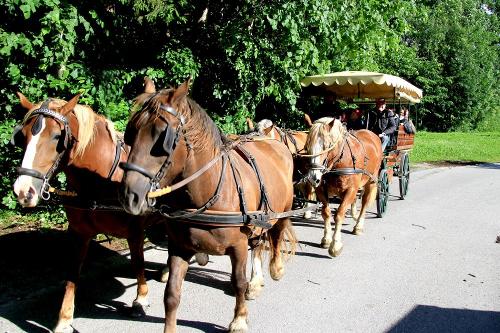 Gästeausfahrt