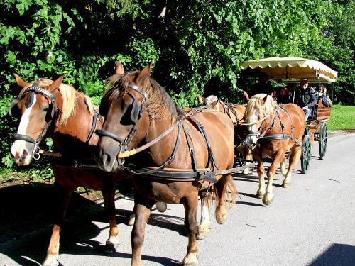 Gästeausfahrt