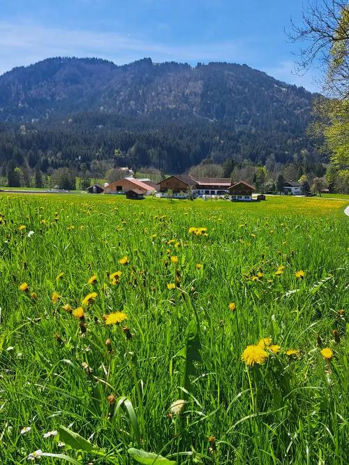 Hof mit Panorama