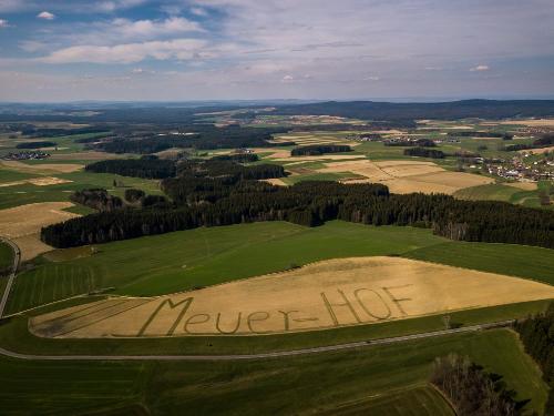 feld-schrift