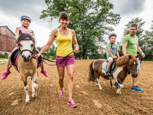 reiten_anzeige