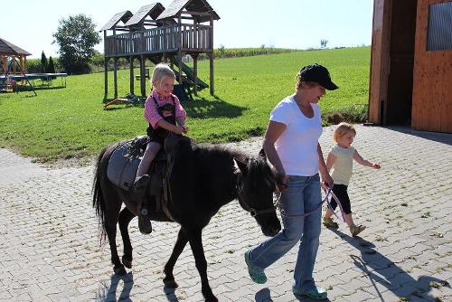 Ponyreiten
